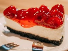 -新沙洞咖啡(泉乐坊店)