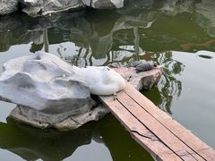 -龙华寺