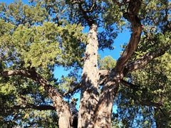 -大觉寺-停车场