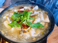 砂锅酸菜乌鱼片-陶德砂锅(蜀汉路店)