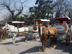 android_upload_pic-西安秦岭野生动物园