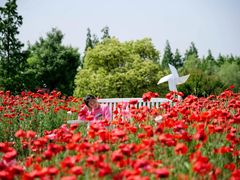 -花开海上生态园