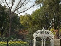 -圩墩遗址公园