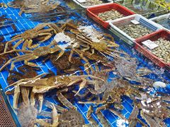 -船奇蒸汽海鲜·闽菜(八市海鲜总店)