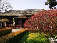 -梅园