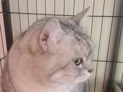 -H立方实景剧情密室(天河旗舰店)