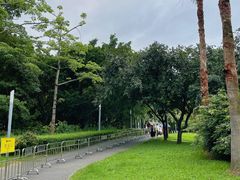 -深圳湾公园(南山区)