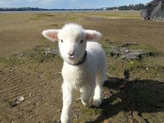 -小海豚国际游泳培训中心(浦东塘桥店)