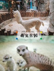 -宝燕乐园(闵行旗舰店)