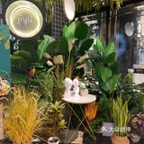 今天开业第三天，冲着正宗，也冲着打折来的，提前就排号