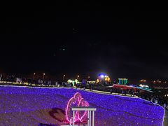 -大塘金香草谷