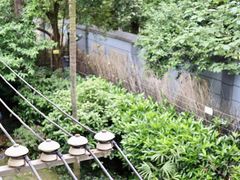 -张乐平故居