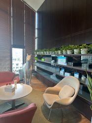 -NEW FACE烫染专业店