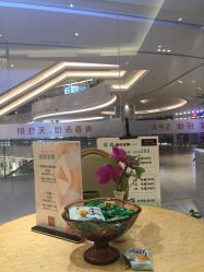 -艾维庭美容纤体SPA