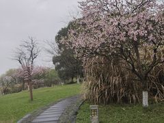 -苏州太湖国家湿地公园