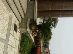 android_upload_pic-金孔雀温泉旅游度假村