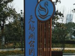 -天鹅湖体育公园