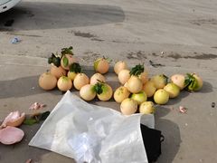 -乌江画廊(彭水苗族土家族自治县)