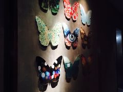 -蝴蝶汇音乐酒馆(罗湖店)