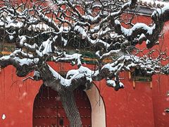 -北京市劳动人民文化宫(太庙)