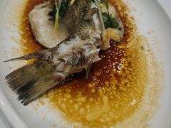 -饭怕鱼(阳光100店)