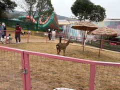 -杭州开元森泊度假乐园