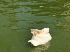 -团结湖公园