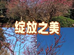 -桃花岭景区