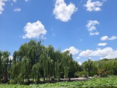 -南翠屏公园