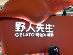-野人先生现做冰淇淋(北京王府井东方新天地店)
