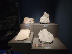 -湖南省地质博物馆