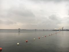 -碧海金沙