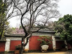 -建水文庙