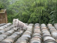 -大罗山风景区