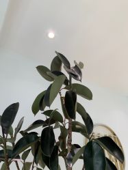 -HEYAN长风荷妍专业脱毛美肤
