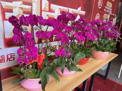 -百安居装修建材卖场(罗湖店)