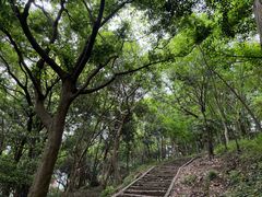 -上海佘山国家森林公园天马山园