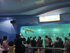 -苏州海洋馆