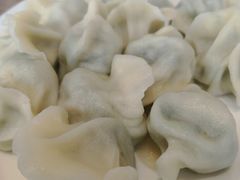 -东北人粗粮饺子坊(南山店)