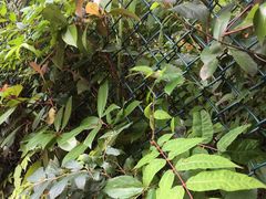 -杭州城北体育公园