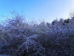 -秦岭风景区