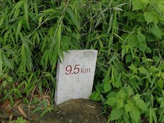 -羚羊峡古栈道森林公园