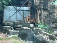 -深圳野生动物园