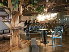 大堂-共舞时光猫咖·狗咖(新街口店)