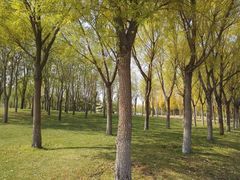 -亿利库布其七星湖沙漠生态旅游区