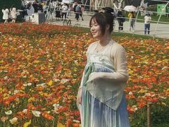 -秀丽东方