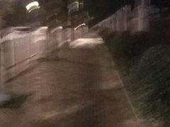 -贺秦生陕面王(富力城店)