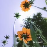 五月的花&初夏的风