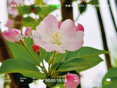 -海棠花溪(元大都城垣遗址公园)