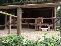 -胡里山炮台
